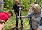 Работы по благоустройству и озеленению начались в округах депутатов Думы города Иркутска 