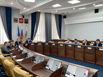 Депутаты Думы рассмотрели участие города Иркутска в национальных проектах «Образование» и «Демография»