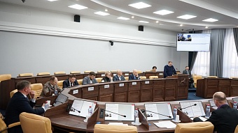 Девять вопросов обсудили депутаты на заседаниях двух комиссий Думы Иркутска 23 января
