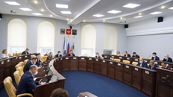 Дума Иркутска утвердила Положения о муниципальном контроле в сфере благоустройства, транспорта, особо охраняемых и лесных территорий 