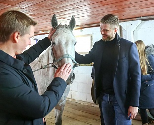 Новая лошадь появилась в конноспортивном клубе «Золотой мустанг» при лицее №1 в Иркутске