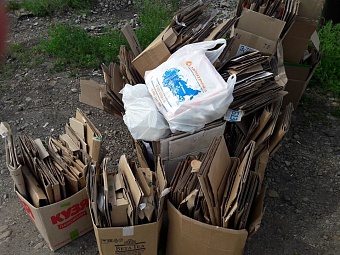 Жители Иркутска собрали около 6 тонн макулатуры в рамках благотворительной экологической акции