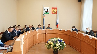 Девятнадцать вопросов рассмотрели две постоянные комиссии Думы города Иркутска в феврале 2022 года