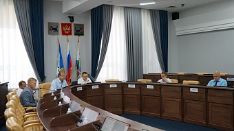 Восемь вопросов рассмотрела комиссия Думы Иркутска по транспорту, связи и охране окружающей среды в июле