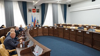 Депутаты Думы города Иркутска рассмотрели 14 вопросов на заседаниях трех комиссий