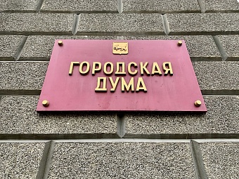 Документы на участие в выборах в Молодежный парламент при Думе Иркутска подали 68 человек