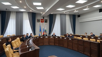 Девять вопросов рассмотрела постоянная комиссия Думы Иркутска по ЖКХ и благоустройству в ноябре