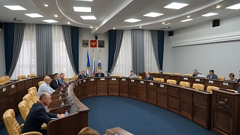 Депутаты Думы города внесли свои предложения по уборке ТКО в Иркутске
