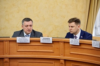 Предложения депутатов Думы Иркутска по развитию областного центра проработает правительство региона