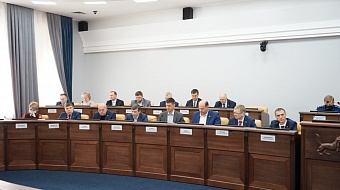 Председателей двух постоянных комиссий избрала Дума города Иркутска 