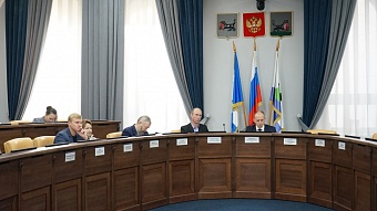 Депутаты Думы и мэрия займутся вопросами популяризации учреждений культуры в Иркутске